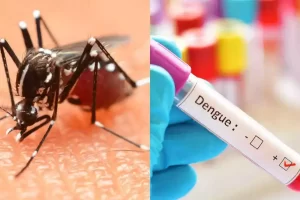 நாட்டில் டெங்கு மரணங்கள் அதிகரிப்பு!