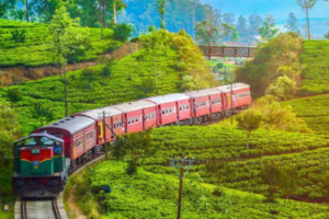 மீளவும் ஆரம்பிக்கப்பட்டுள்ள பதுளை – நானுஓயா இடையிலான ரயில் சேவை!