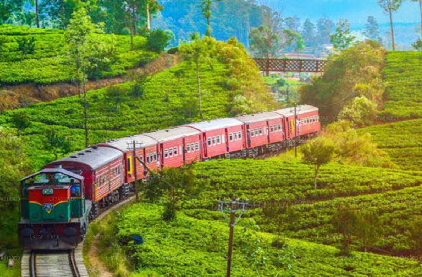 மீளவும் ஆரம்பிக்கப்பட்டுள்ள பதுளை – நானுஓயா இடையிலான ரயில் சேவை!