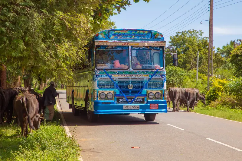 சாரதி அனுமதிப்பத்திரம் இன்றி பேருந்தை செலுத்திய நபர் ஒருவர் கைது!