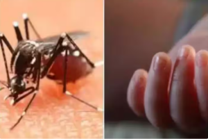 டெங்கு நோய் தாக்கம்- உயிரிழப்புகளின் எண்ணிக்கை அதிகரிப்பு!