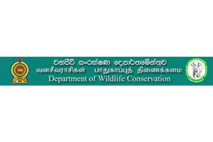 வனஜீவராசிகள் திணைக்களத்தின் அனைத்து தொழிற்சங்க உறுப்பினர்களும் சுகயீன விடுமுறை போராட்டத்தில்!!