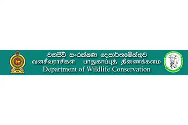 வனஜீவராசிகள் திணைக்களத்தின் அனைத்து தொழிற்சங்க உறுப்பினர்களும் சுகயீன விடுமுறை போராட்டத்தில்!!