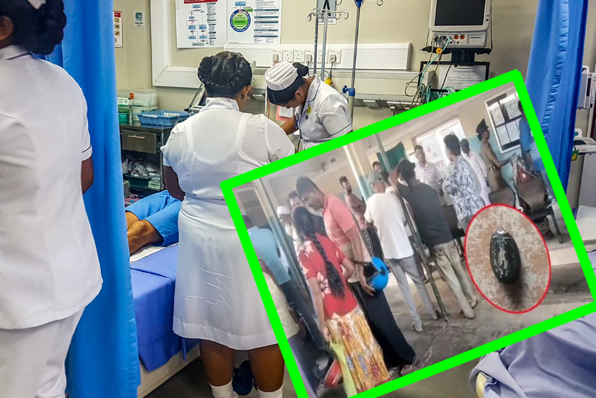 நச்சுத்தன்மையுடைய விதை வகையொன்றை உட்கொண்ட 22 மாணவர்கள் வைத்தியசாலையில்!