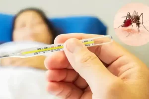 டெங்கு நோயாளர்களின் எண்ணிக்கை அதிகரிப்பு!