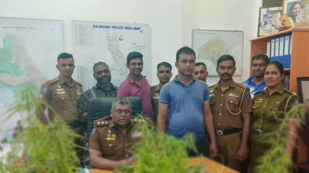 மொட்டை மாடியில் சூட்சுமமாக கஞ்சா செடி வளர்த்த நபர் கைது!!