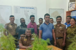 மொட்டை மாடியில் சூட்சுமமாக கஞ்சா செடி வளர்த்த நபர் கைது!!