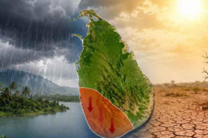 ‘எல் நினோ’ (El Niño) காலநிலை மாற்றம் தீவிரம்- வளிமண்டலவியல் திணைக்களம் விடுத்துள்ள எச்சரிக்கை!