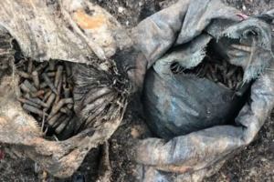 யாழ். அரியாலை பகுதியில் பெருந்தொகையான துப்பாக்கி ரவைகள் மீட்பு!